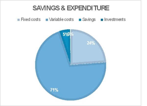 Smart Spend and Save Excel Calculator - Image 4