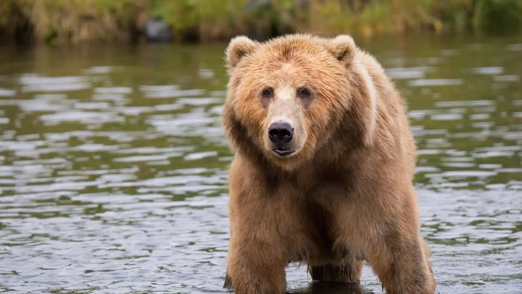 Aspiring investment millionaire