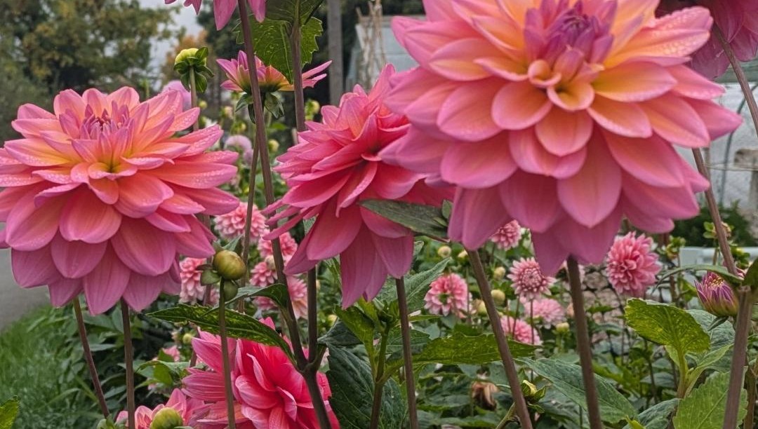 Tax changes taking effect from April 2026