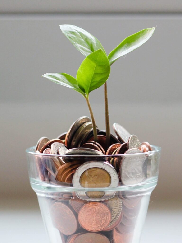 A glass full of coins with a small green plant growing out of it