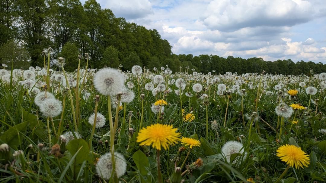 How does compound interest grow wealth?